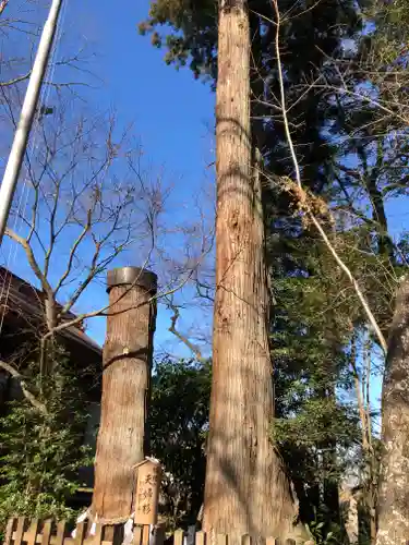 鹿嶋神社の自然