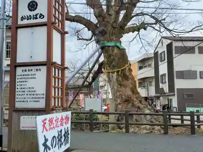 織田神社の自然