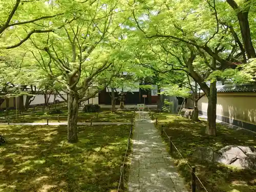 黄梅院(京都府)