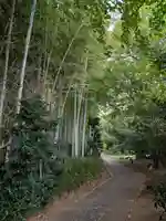 妙寿寺(東京都)