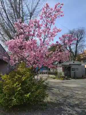 阿邪訶根神社(福島県)