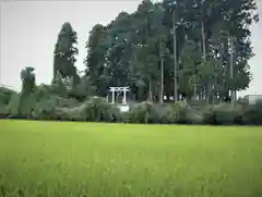 御田神社の景色