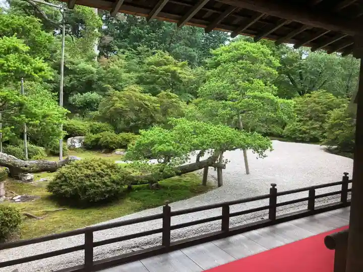 曼殊院門跡の庭園