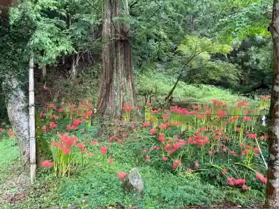 金時神社(静岡県)