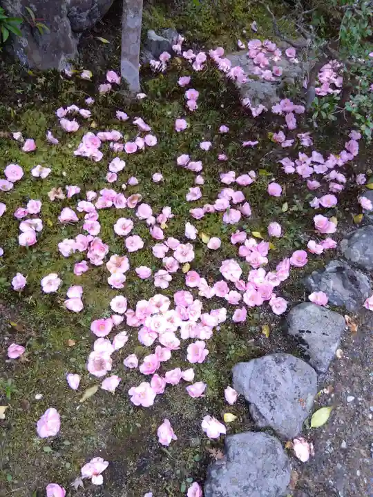 霊鑑寺門跡(京都府)