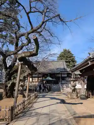 新井薬師（梅照院）(東京都)