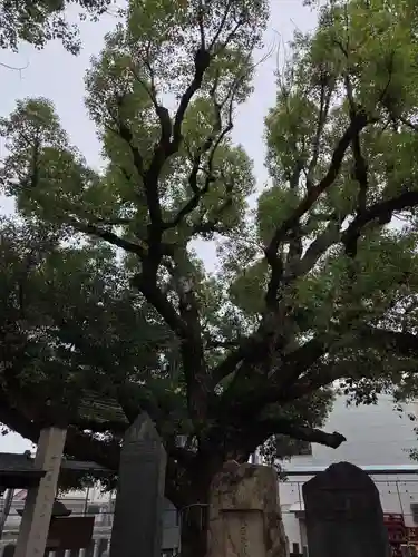 石津神社(大阪府)