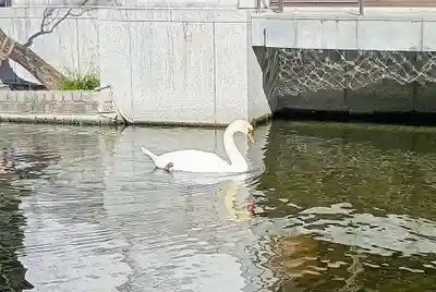 頂法寺（六角堂）(京都府)