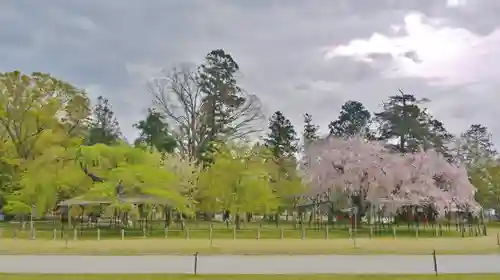 賀茂別雷神社（上賀茂神社）の庭園