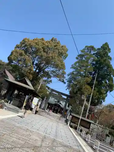 琴崎八幡宮の建物その他