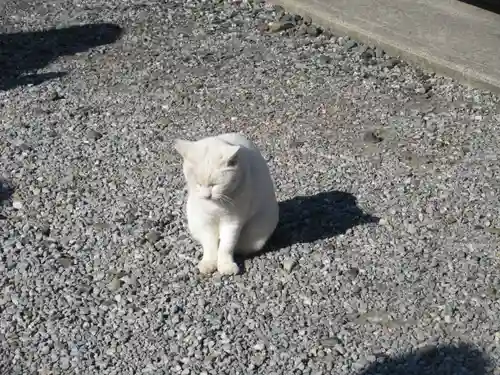 今戸神社(東京都)