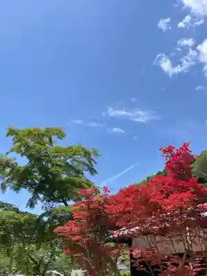尊永寺(静岡県)