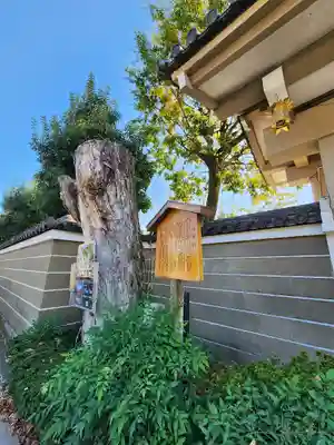 神泉苑(京都府)