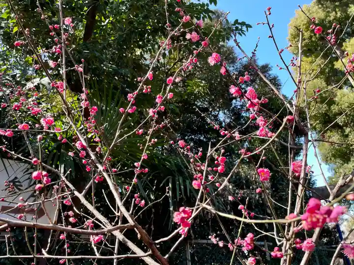 花園稲荷神社の自然
