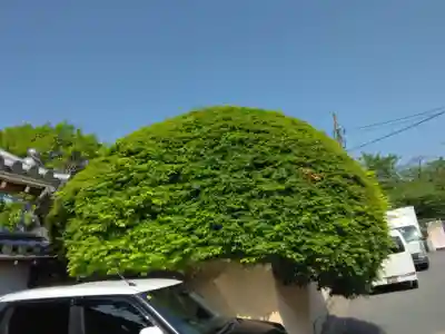 龍眠庵(竜眠庵)(京都府)