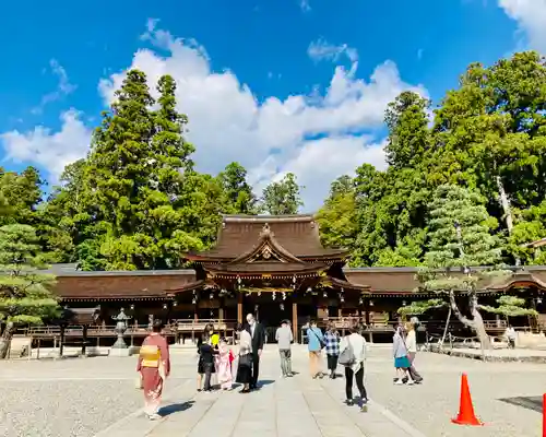 多賀大社の本殿