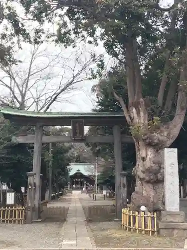 畑子安神社の鳥居