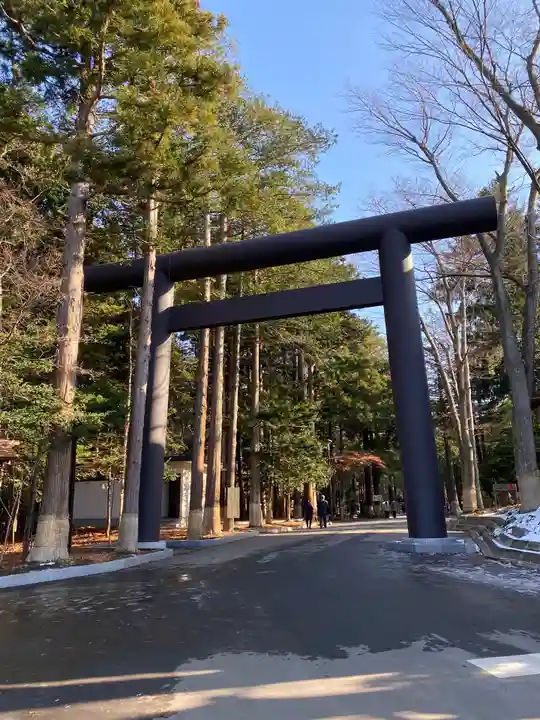 北海道神宮の鳥居