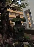 根岸町王子稲荷社の{uncategorized: "未分類", other: "その他", undefined: "問題あり", building: "その他建物", grave: "お墓", sacred_gate: "鳥居", guardian: "狛犬", statue: "像", buddha: "仏像", history: "歴史", nature: "自然", garden: "庭園", animal: "動物", pagoda: "塔", temizu: "手水舎", mountain_gate: "山門・神門", sanctuary: "本殿・本堂", subordinate: "末社・摂社", art: "芸術", scenery: "景色", jizo: "地蔵", ema: "絵馬", goshuin: "御朱印", omikuji: "おみくじ", items: "授与品その他", amulet: "お守り", goshuincho: "御朱印帳", eats: "食事", festival: "お祭り", votive_dance: "神楽", shichigosan: "七五三参", wedding: "結婚式", experience: "体験その他", initially: "初詣", around: "周辺", anti_infection: "感染症対策"}