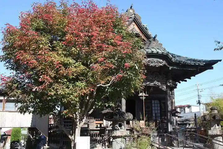 【公式】龍門院常楽寺(秩父札所十一番)の自然