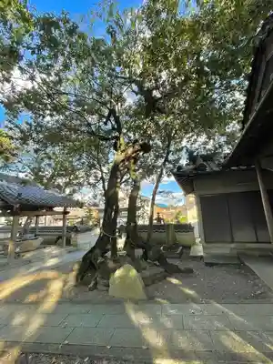 長谷神社(三重県)