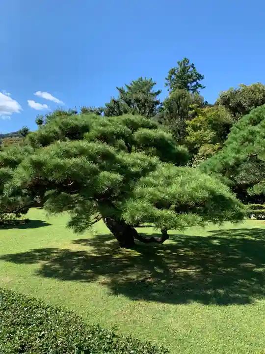 伊勢神宮内宮(皇大神宮)の庭園
