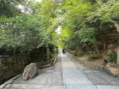 高台寺（高台寿聖禅寺・高臺寺）(京都府)