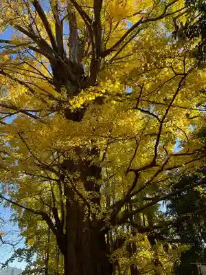 王子神社(東京都)
