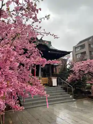 桜神宮(東京都)