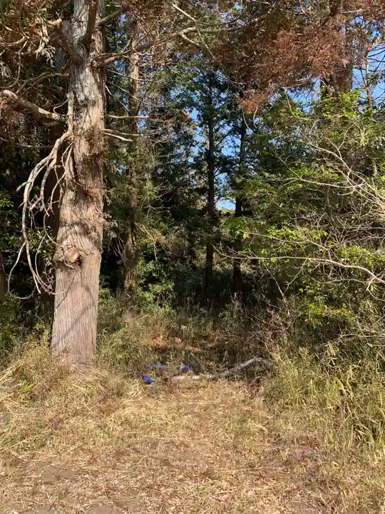 熊野神社(千葉県)