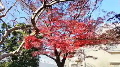 圓蔵寺(埼玉県)