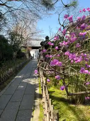 安國論寺（安国論寺）の{uncategorized: "未分類", other: "その他", undefined: "問題あり", building: "その他建物", grave: "お墓", sacred_gate: "鳥居", guardian: "狛犬", statue: "像", buddha: "仏像", history: "歴史", nature: "自然", garden: "庭園", animal: "動物", pagoda: "塔", temizu: "手水舎", mountain_gate: "山門・神門", sanctuary: "本殿・本堂", subordinate: "末社・摂社", art: "芸術", scenery: "景色", jizo: "地蔵", ema: "絵馬", goshuin: "御朱印", omikuji: "おみくじ", items: "授与品その他", amulet: "お守り", goshuincho: "御朱印帳", eats: "食事", festival: "お祭り", votive_dance: "神楽", shichigosan: "七五三参", wedding: "結婚式", experience: "体験その他", initially: "初詣", around: "周辺", anti_infection: "感染症対策"}