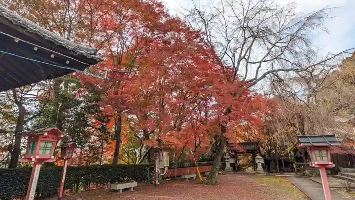松ヶ崎大黒天 妙圓寺(妙円寺)(京都府)
