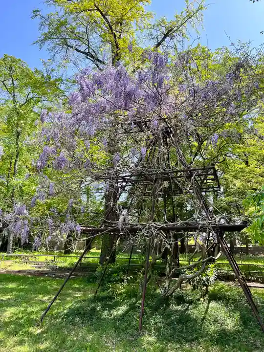 青葉神社(宮城県)