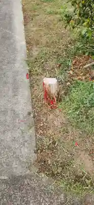 神明社(宮城県)
