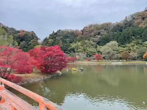 白水阿弥陀堂の庭園