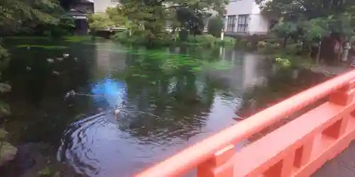 富士山本宮浅間大社の庭園