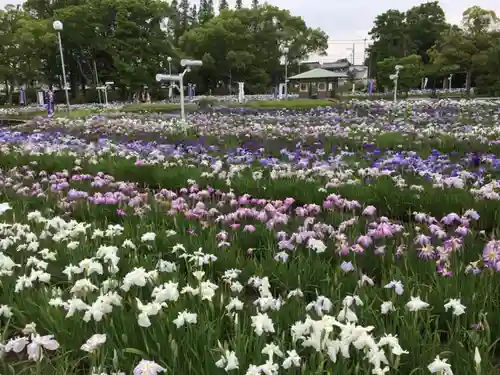 應仁寺の庭園