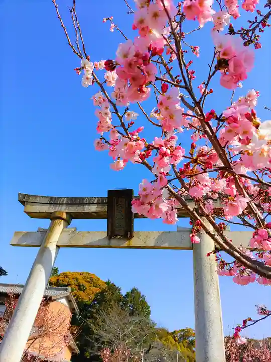 大宮神社の自然