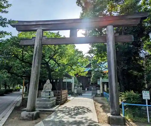 荏原神社の鳥居