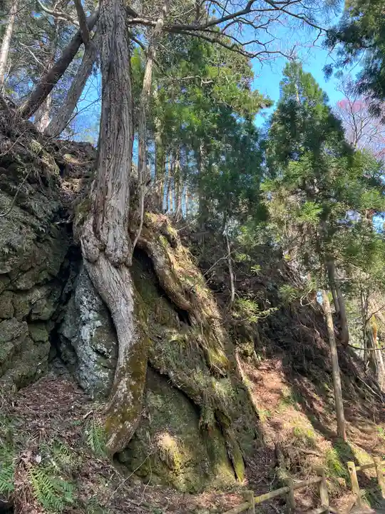 十和田神社の自然