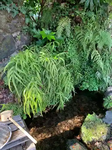 前橋神明宮の庭園