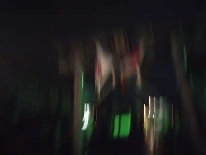 日吉神社(福井県)