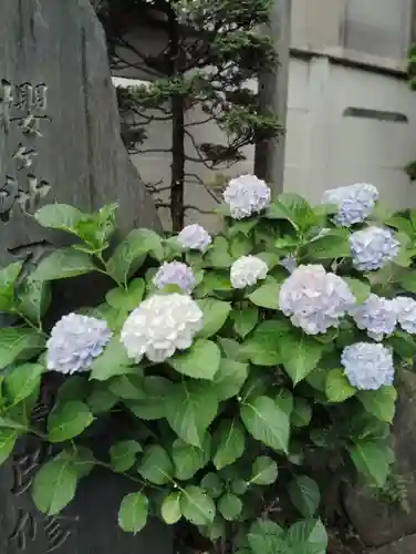 東光寺別院桜ヶ池不動院(東京都)