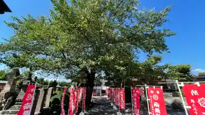 圓應寺のその他建物