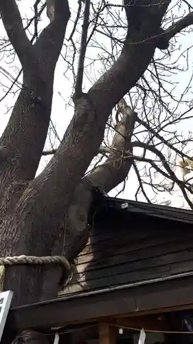 札幌諏訪神社のその他建物