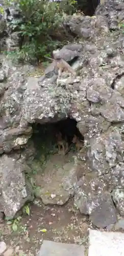 成田山横浜別院延命院の狛犬