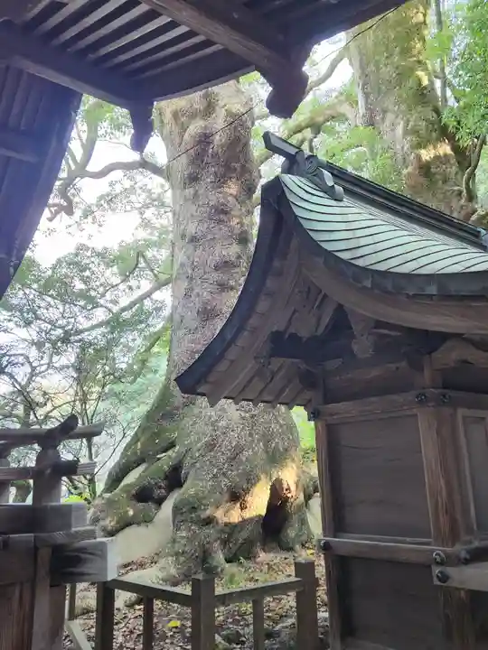 太宰府天満宮(福岡県)