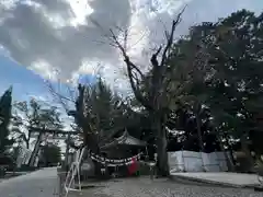 手力雄神社(岐阜県)