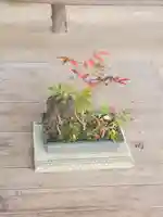 正法寺(埼玉県)